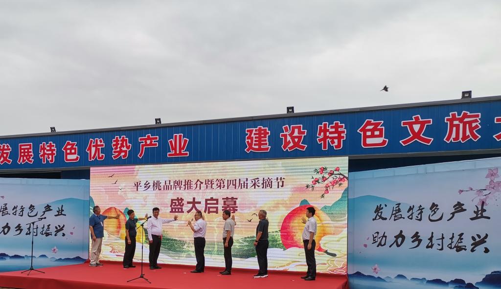 河北省河北科技师范学院农业产业技术体系桃创新团队全面推进省内桃产业品牌提升和技术交流